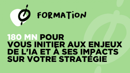 FORMATION /  180 mn pour vous initier aux enjeux de l'IA et à ses impacts sur votre stratégie